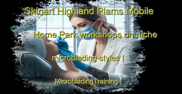 Skinart Highland Plams Mobile Home Park workshops on niche microblading styles | MicrobladingTraining | MicrobladingClasses | SkinartTraining-United States